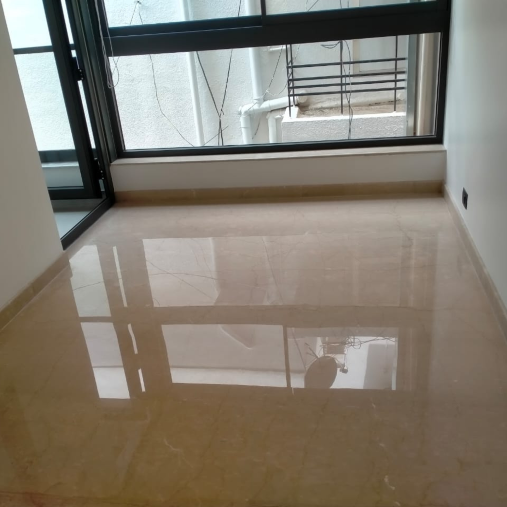 professional carpet steam cleaner