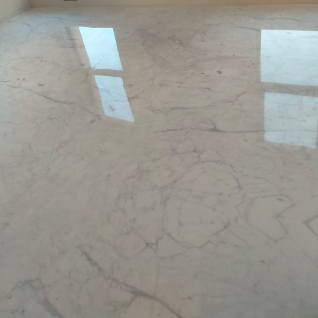 professional sofa cleaning near me